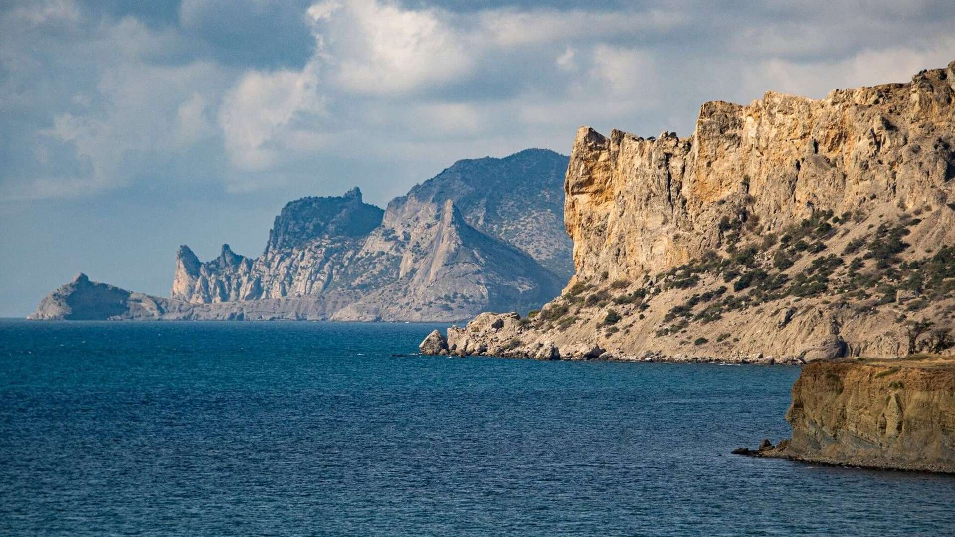 алчак судак